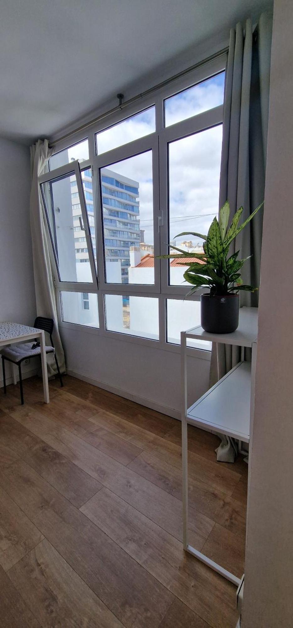 Estudio Canteras Beach Las Palmas de Gran Canaria Eksteriør bilde